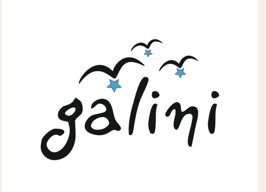 Galini Chora Tinou *